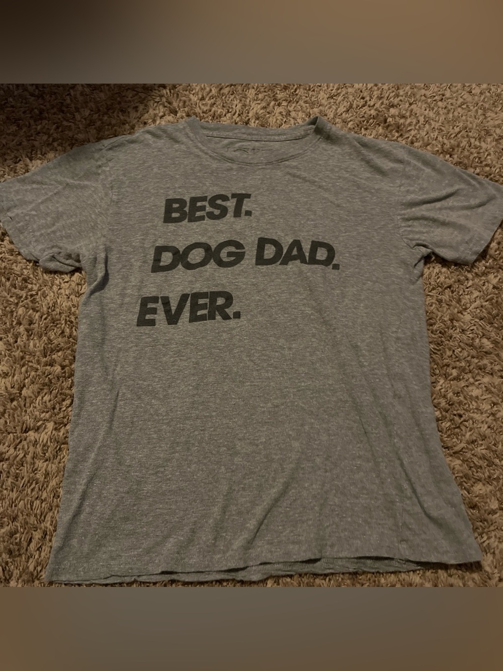 Best Dog Dad Ever Gray Pet Lover T-Shirt